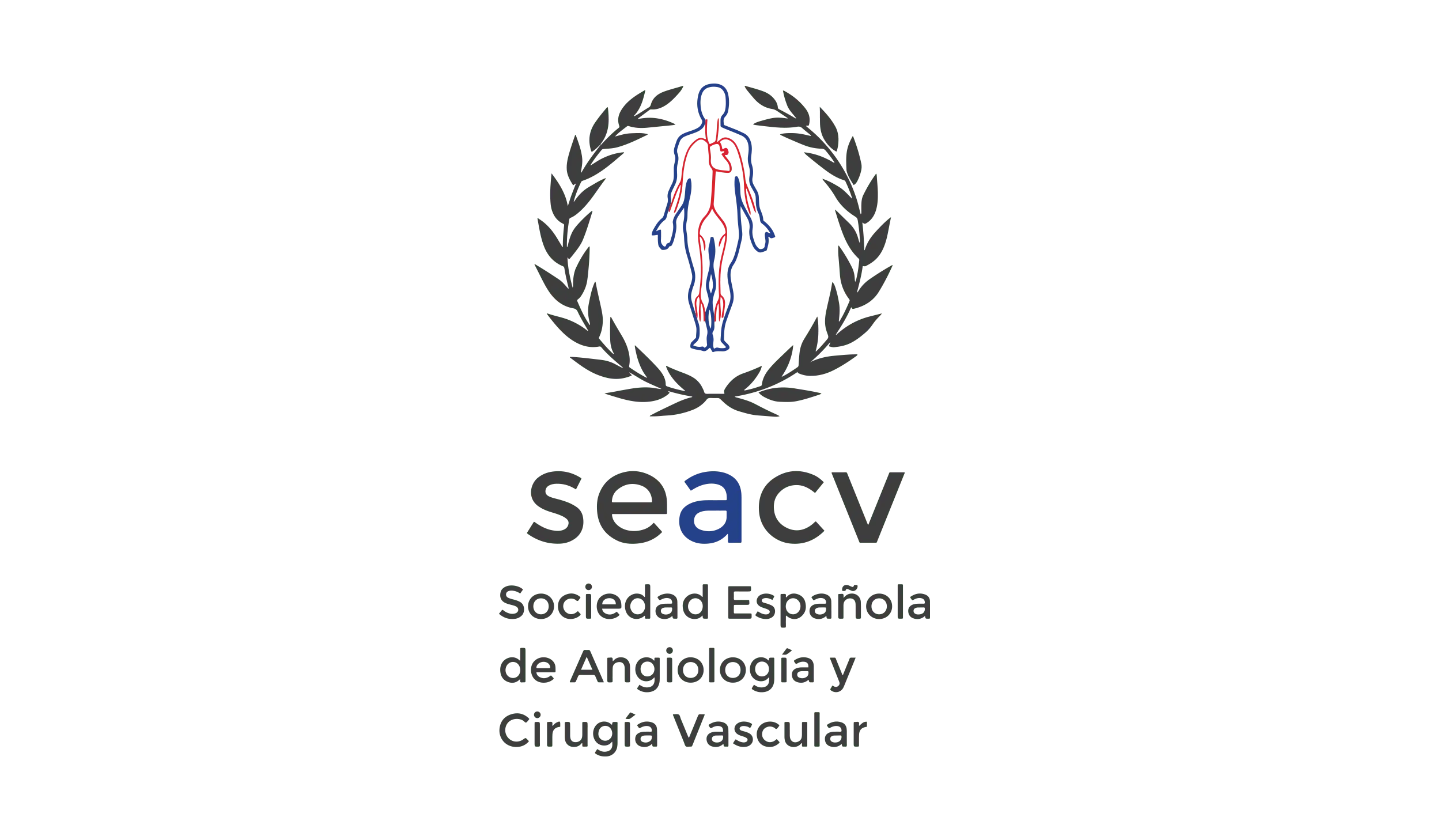 Logo SEACV